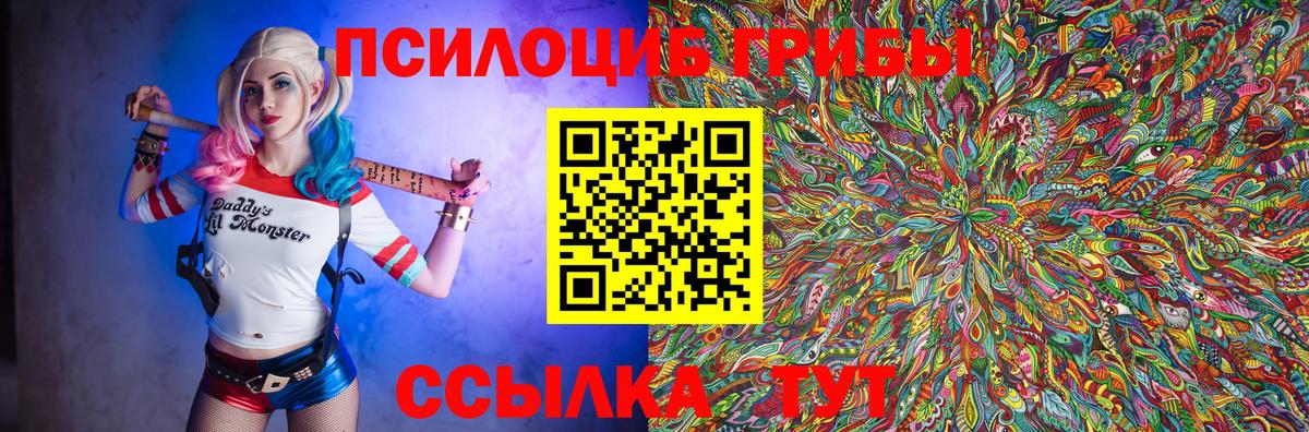 Галлюциногенные грибы Psilocybe Татарск